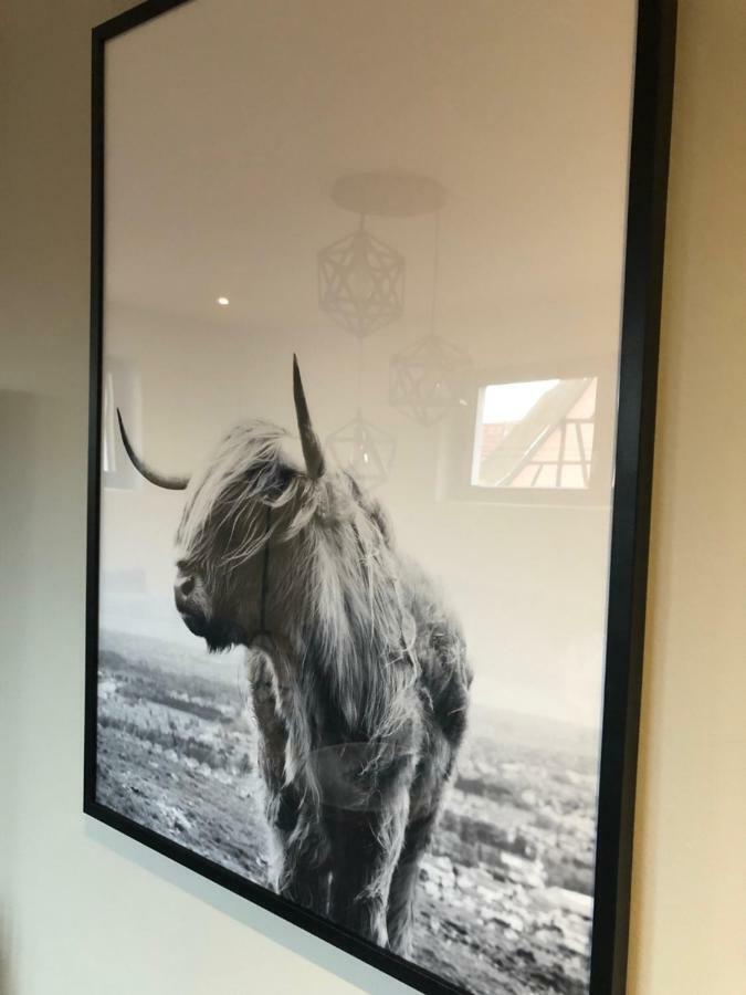 Gite Wellness Le Six H Andolsheim Exteriér fotografie
